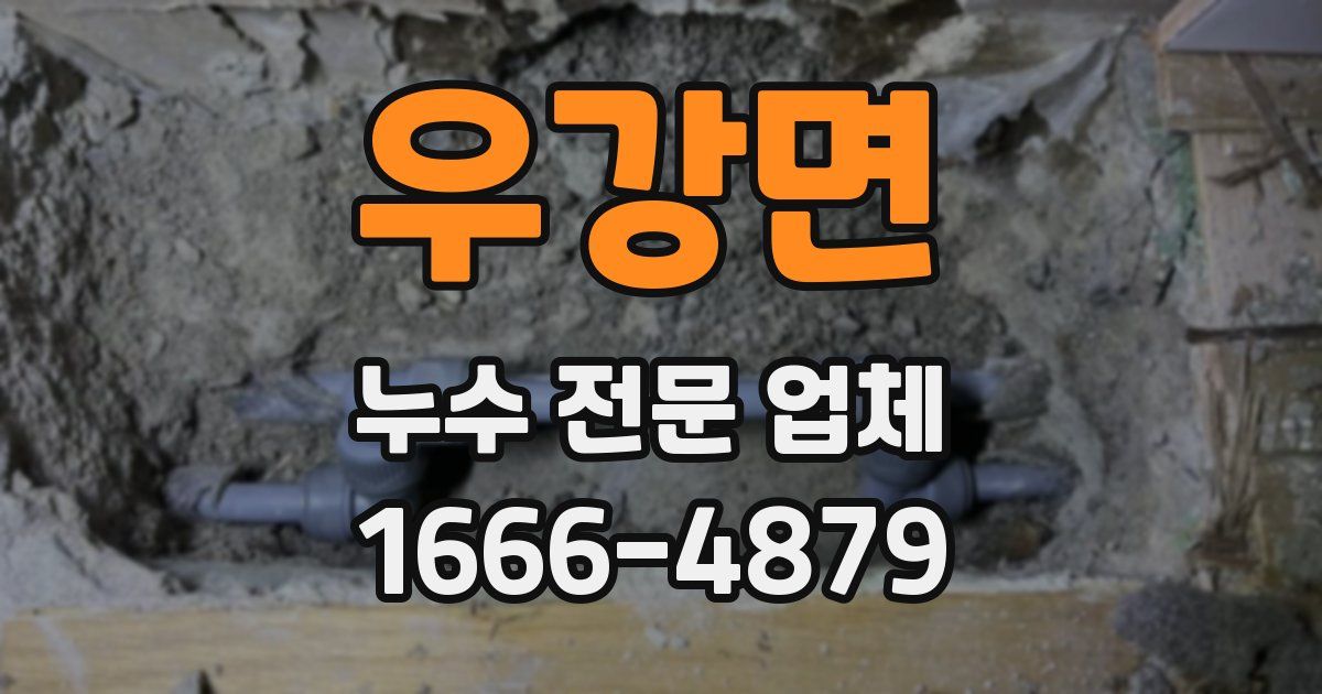 우강면 누수 전문 업체