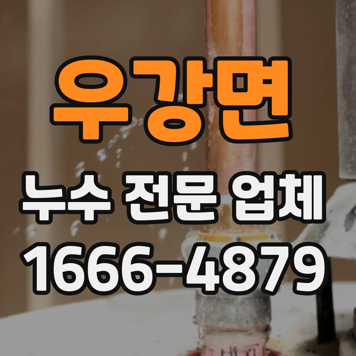 우강면 누수 전문 업체