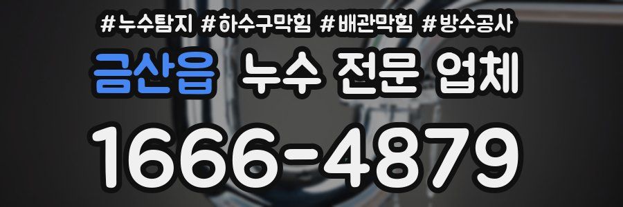 금산읍 누수 전문 업체