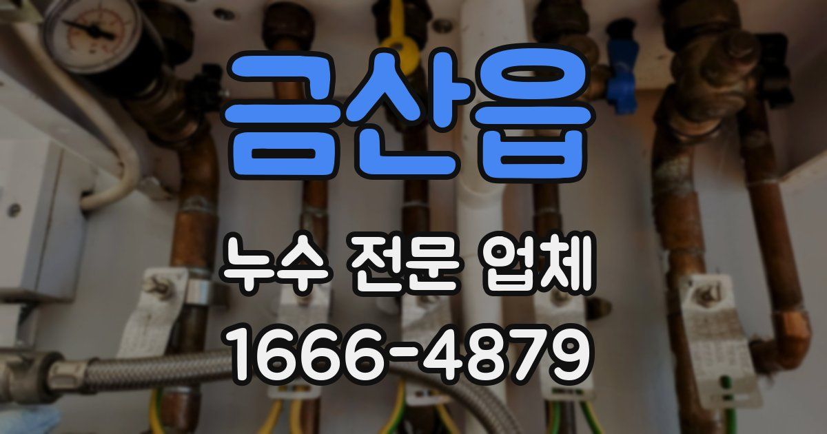 금산읍 누수 전문 업체
