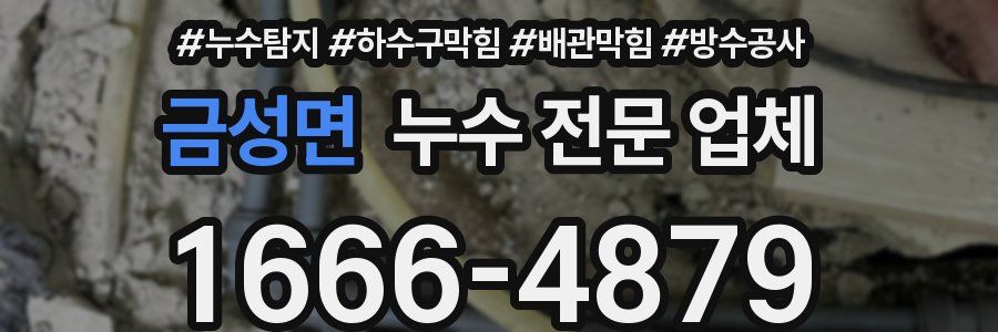금성면 누수 전문 업체