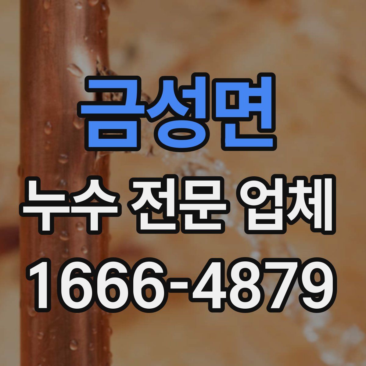 금성면 누수 전문 업체