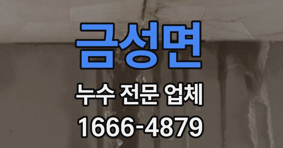 금성면 누수 전문 업체