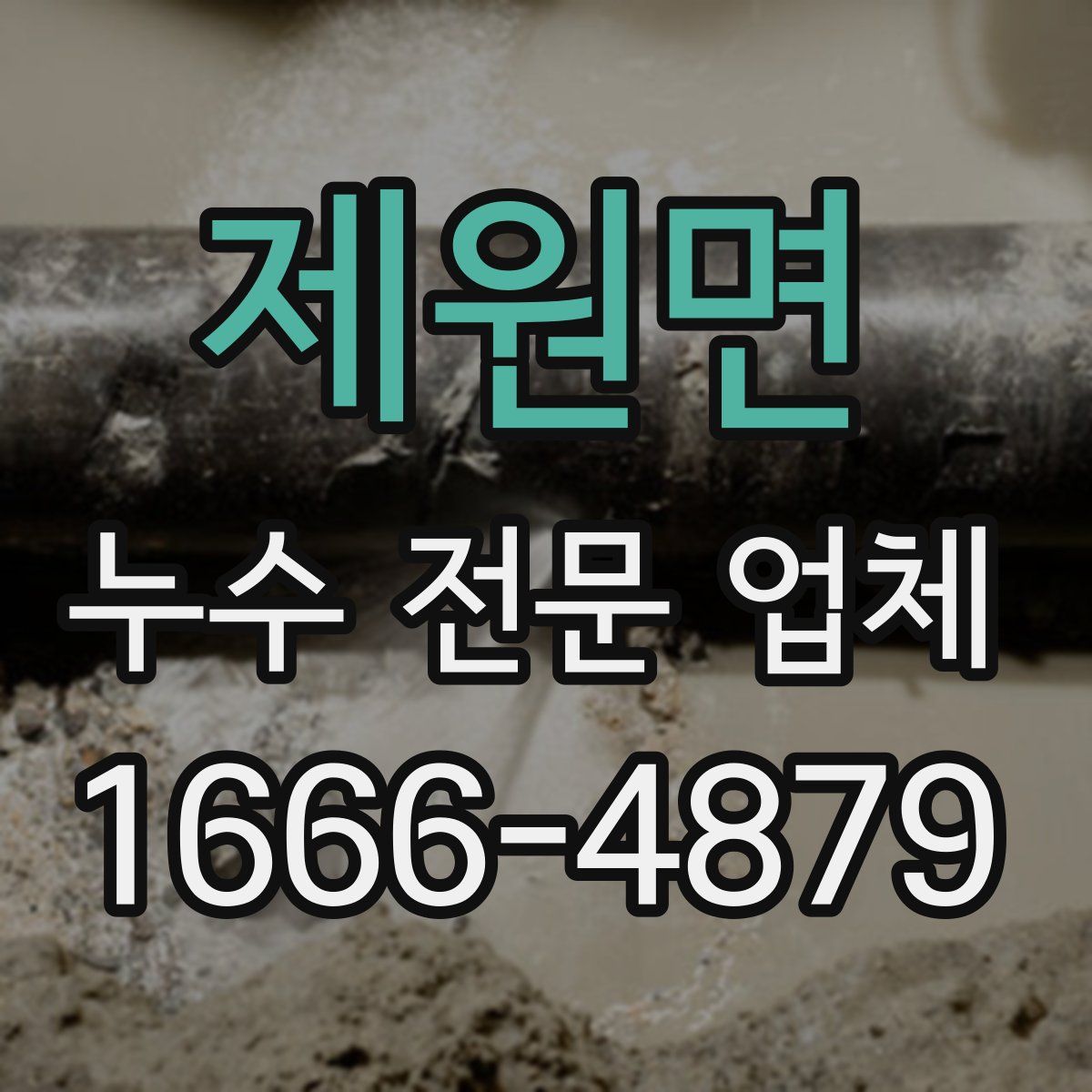 제원면 누수 전문 업체