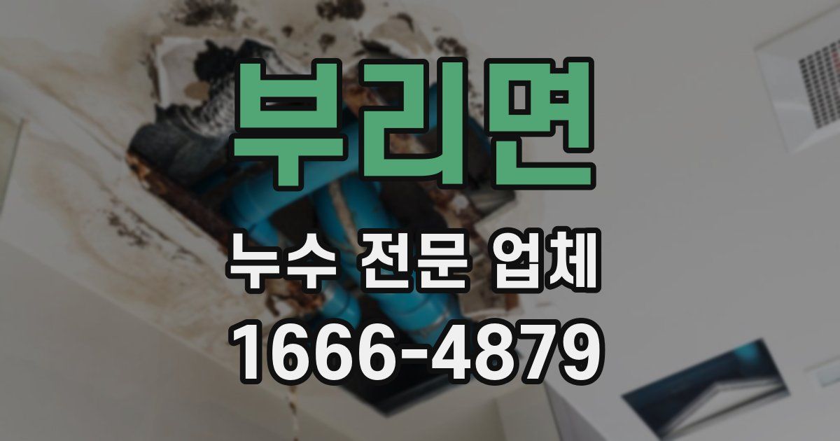 부리면 누수 전문 업체