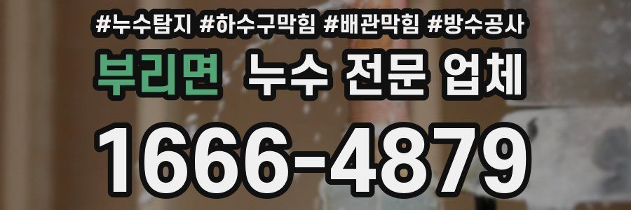 부리면 누수 전문 업체