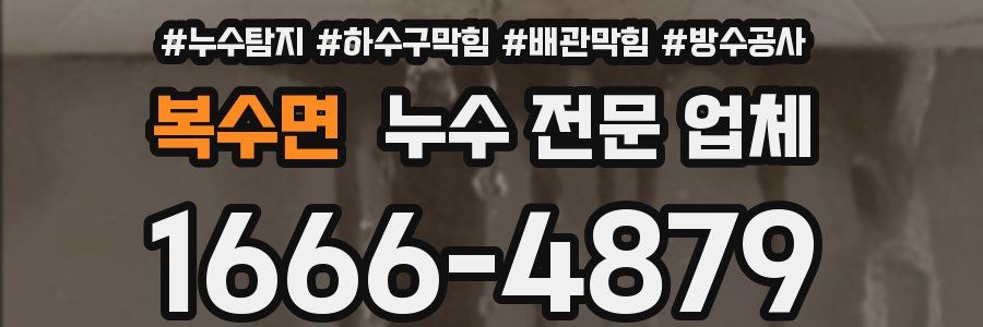 복수면 누수 전문 업체