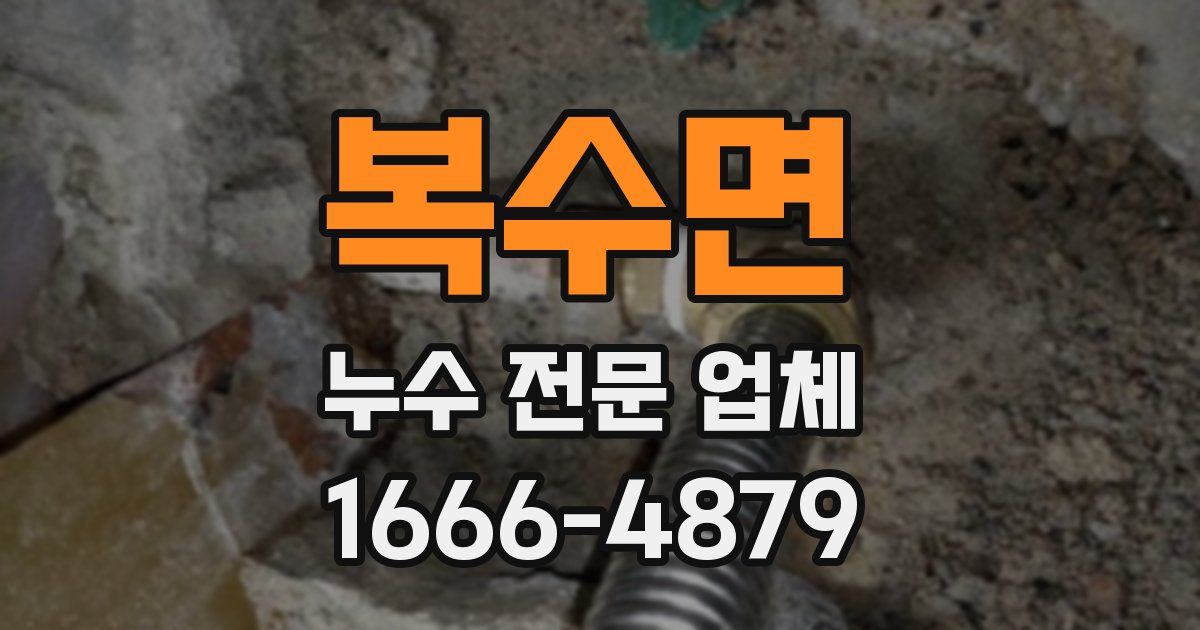복수면 누수 전문 업체