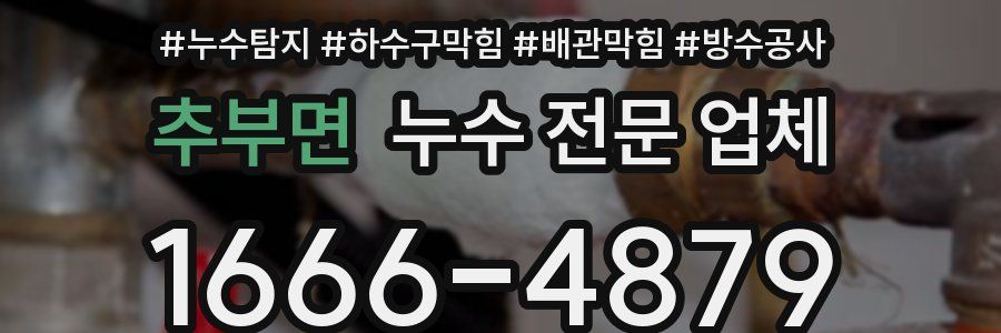 추부면 누수 전문 업체