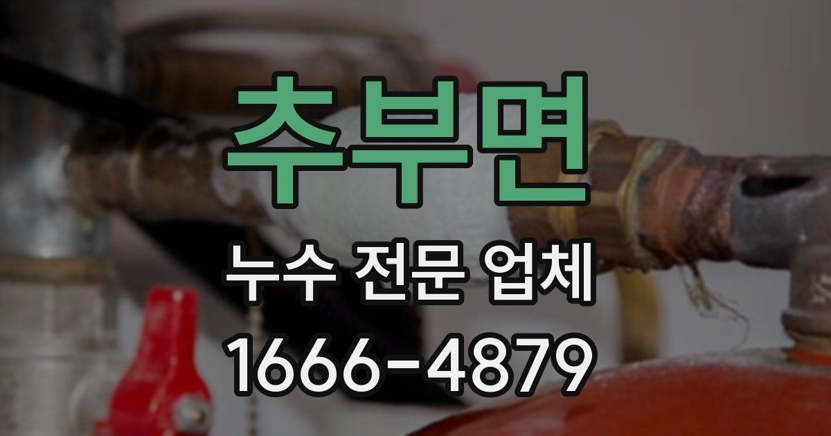 추부면 누수 전문 업체
