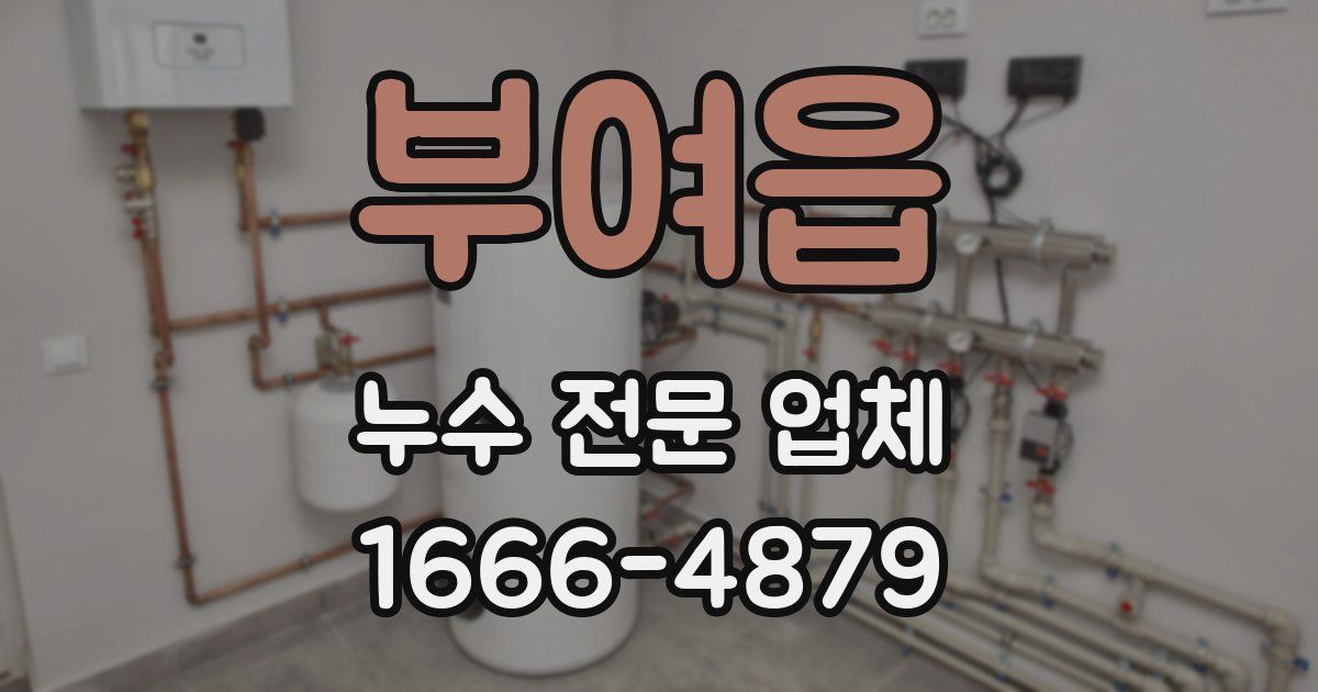부여읍 누수 전문 업체