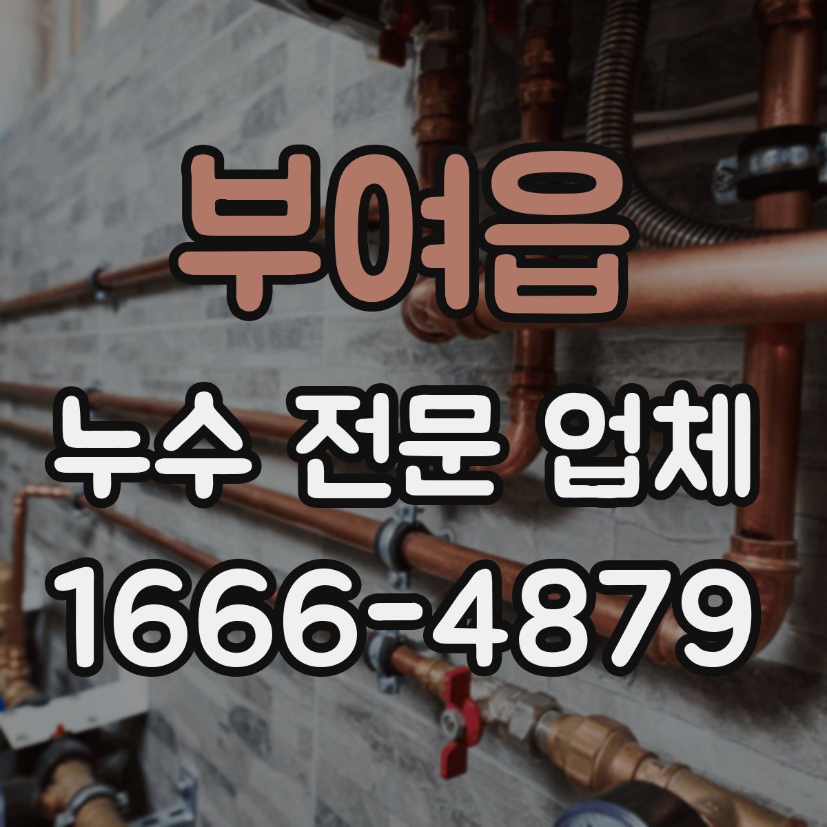 부여읍 누수 전문 업체