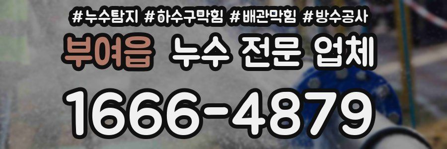 부여읍 누수 전문 업체