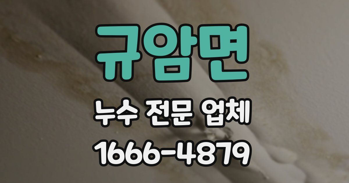 규암면 누수 전문 업체