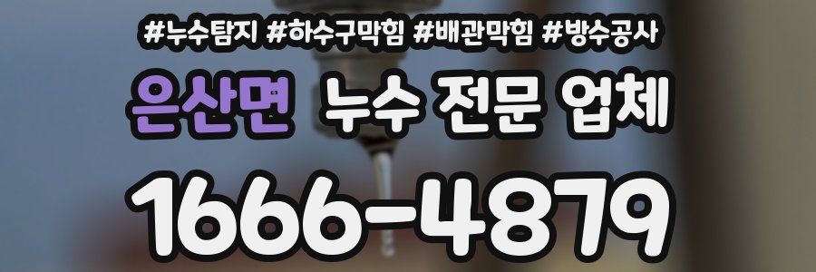 은산면 누수 전문 업체