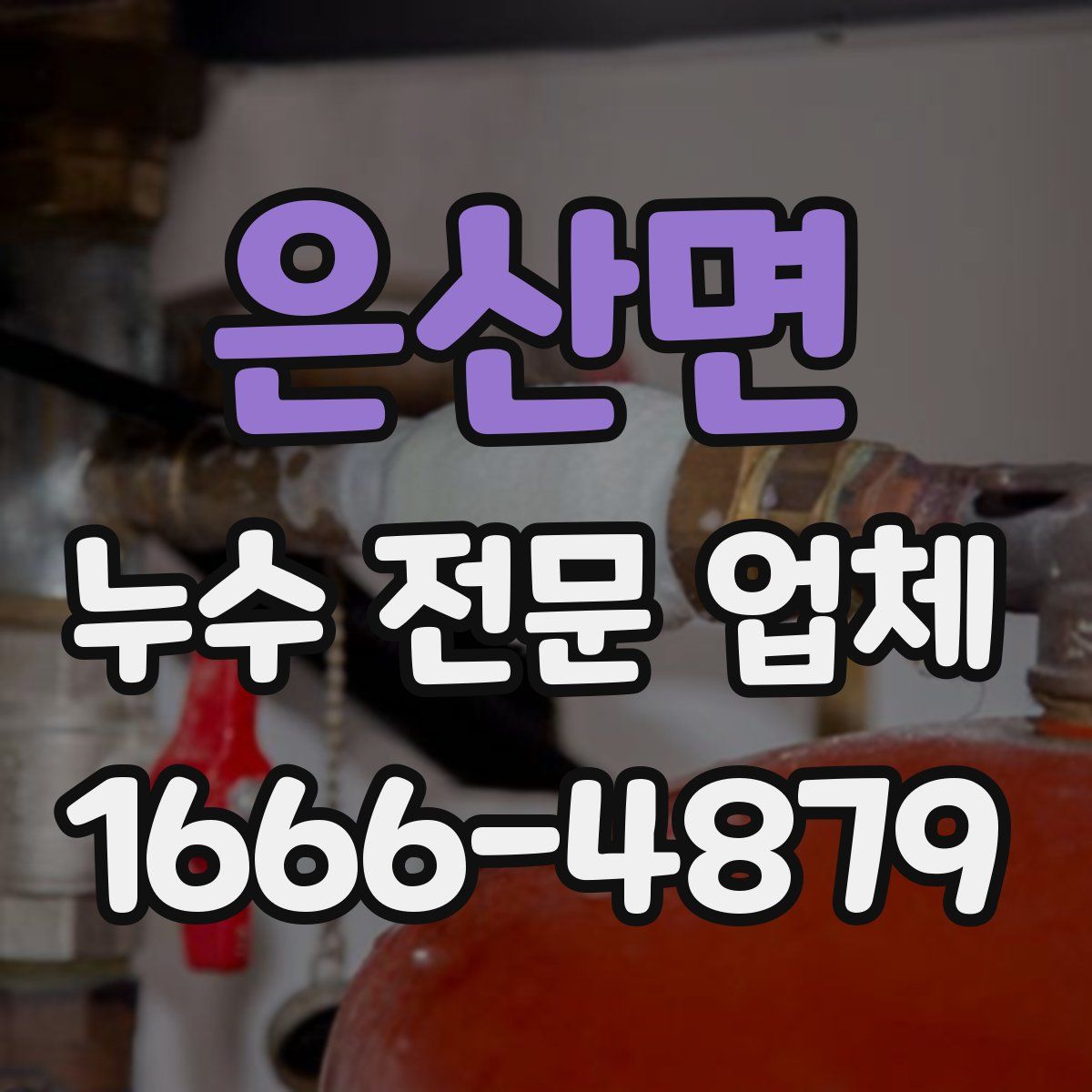 은산면 누수 전문 업체