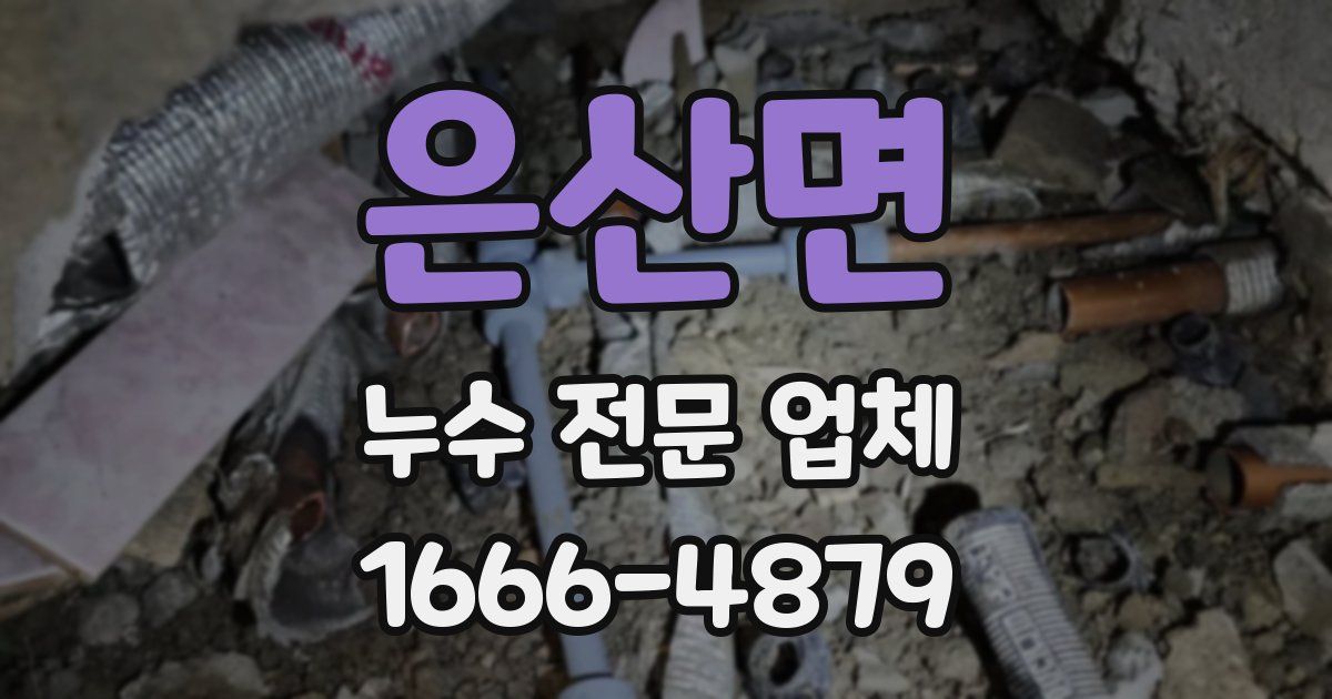 은산면 누수 전문 업체