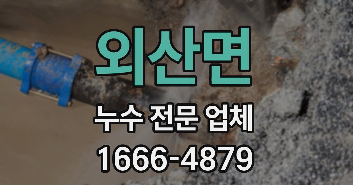 외산면 누수 전문 업체