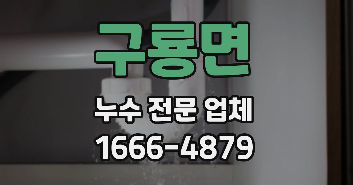 구룡면 누수 전문 업체