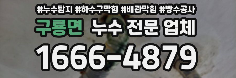 구룡면 누수 전문 업체