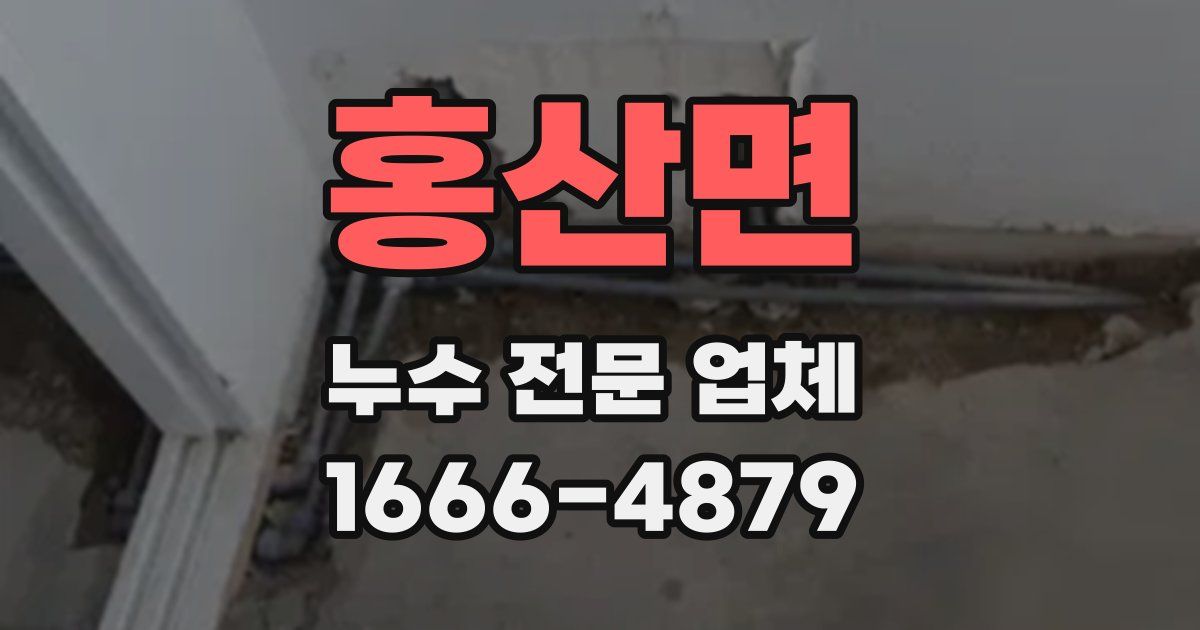 홍산면 누수 전문 업체