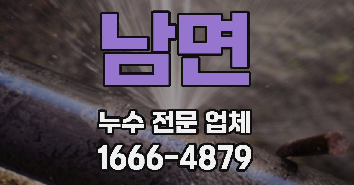 남면 누수 전문 업체