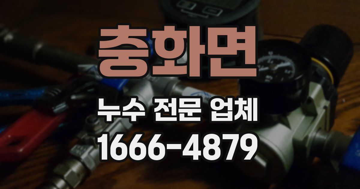 충화면 누수 전문 업체