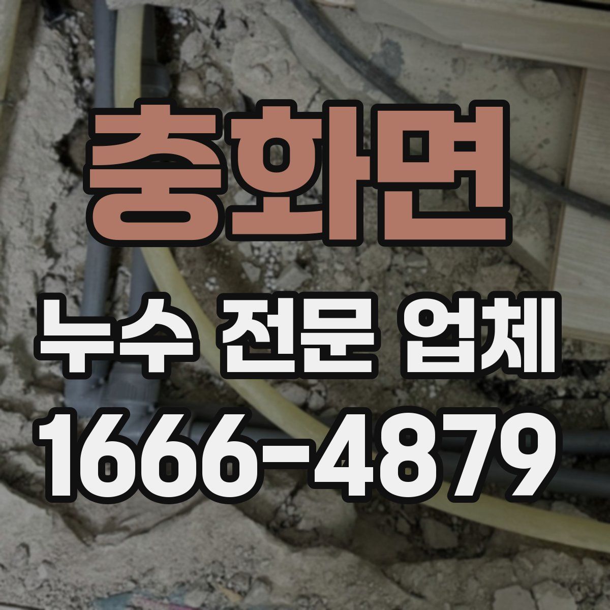 충화면 누수 전문 업체