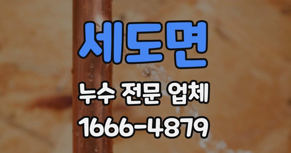 세도면 누수 전문 업체