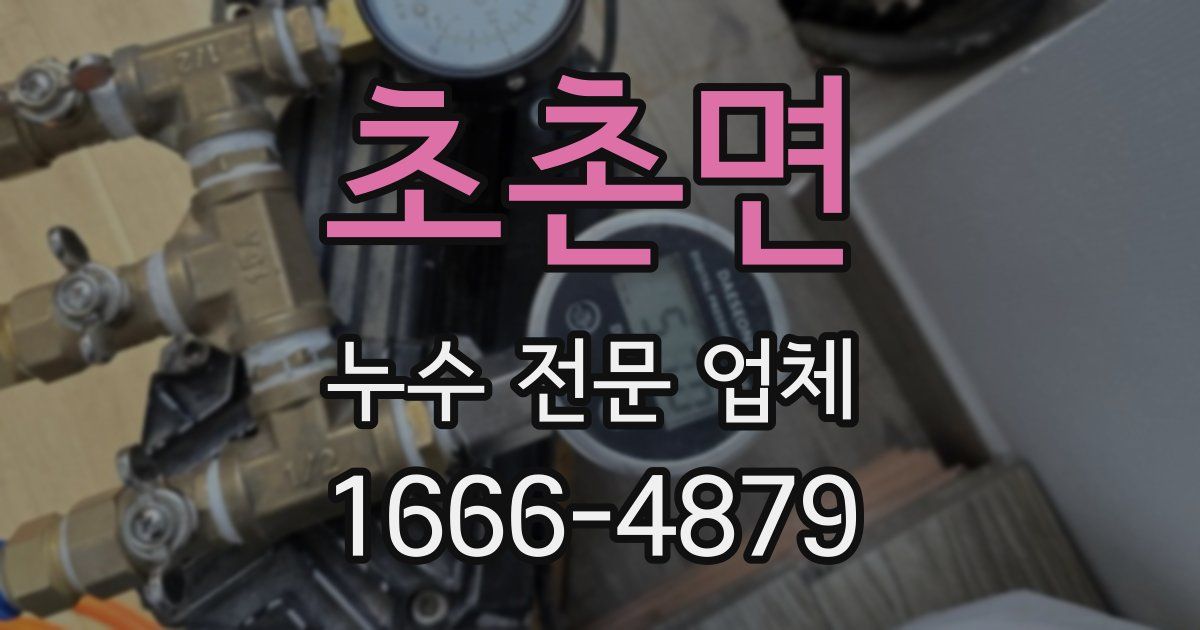 초촌면 누수 전문 업체