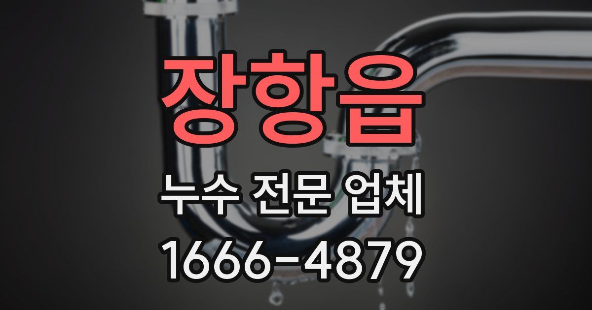 장항읍 누수 전문 업체