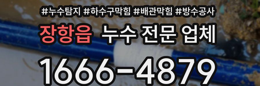 장항읍 누수 전문 업체