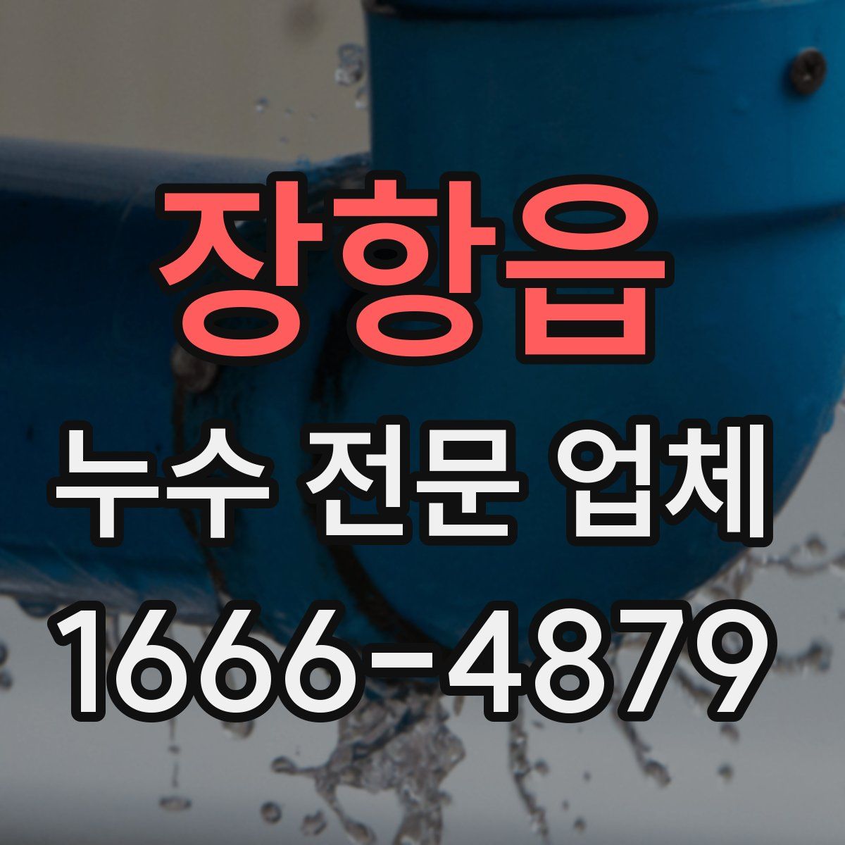 장항읍 누수 전문 업체