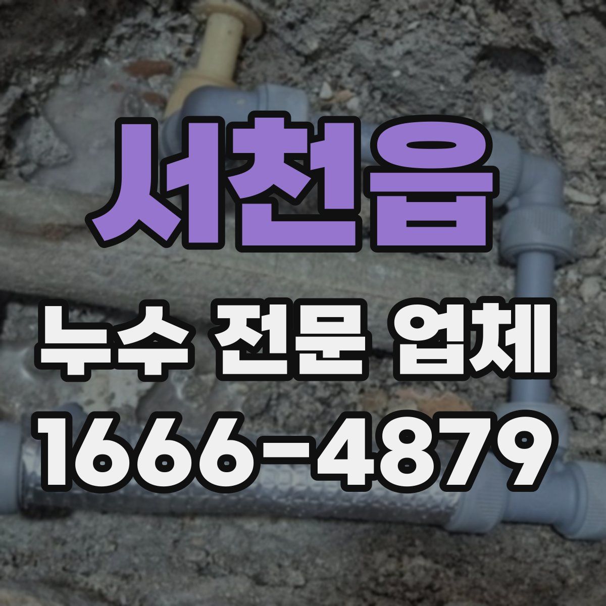 서천읍 누수 전문 업체