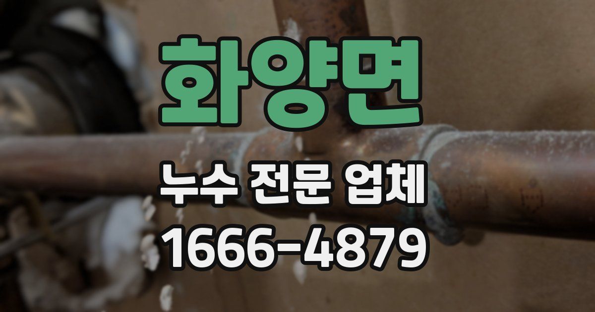 화양면 누수 전문 업체