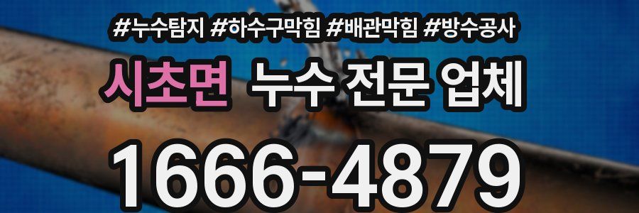 시초면 누수 전문 업체