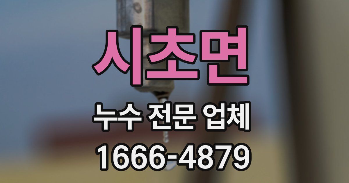 시초면 누수 전문 업체