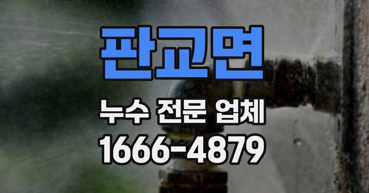 판교면 누수 전문 업체