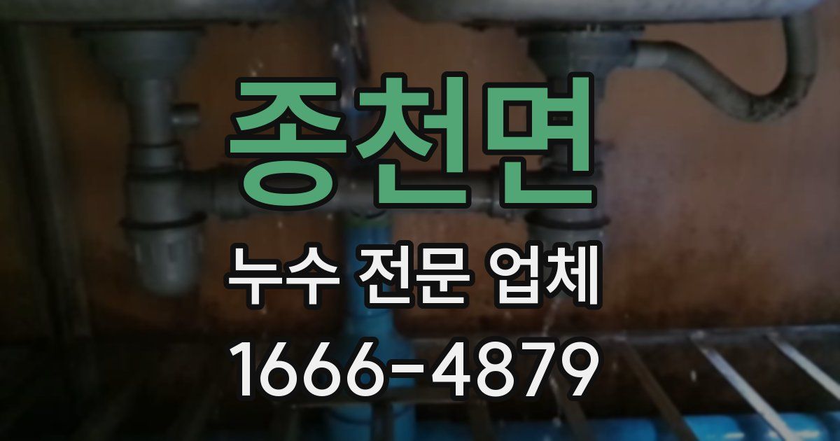 종천면 누수 전문 업체