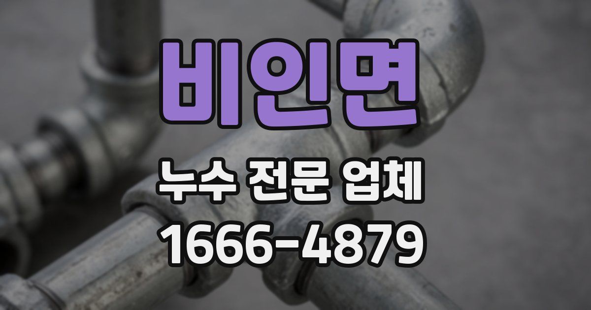 비인면 누수 전문 업체