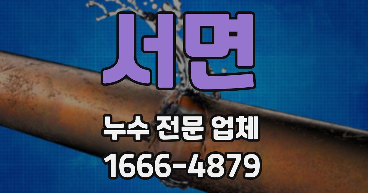 서면 누수 전문 업체