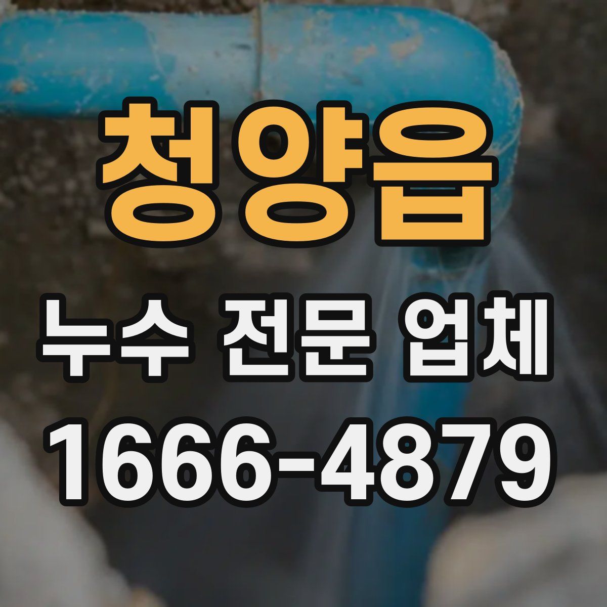 청양읍 누수 전문 업체