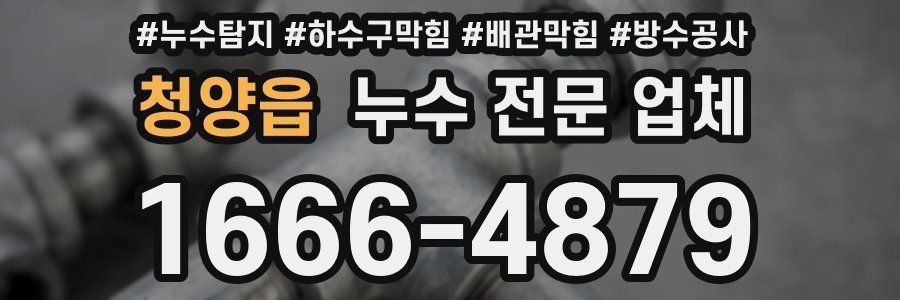 청양읍 누수 전문 업체