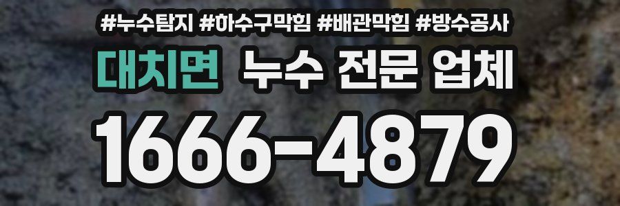 대치면 누수 전문 업체
