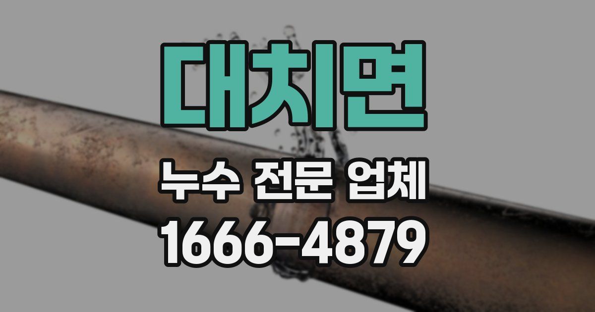 대치면 누수 전문 업체