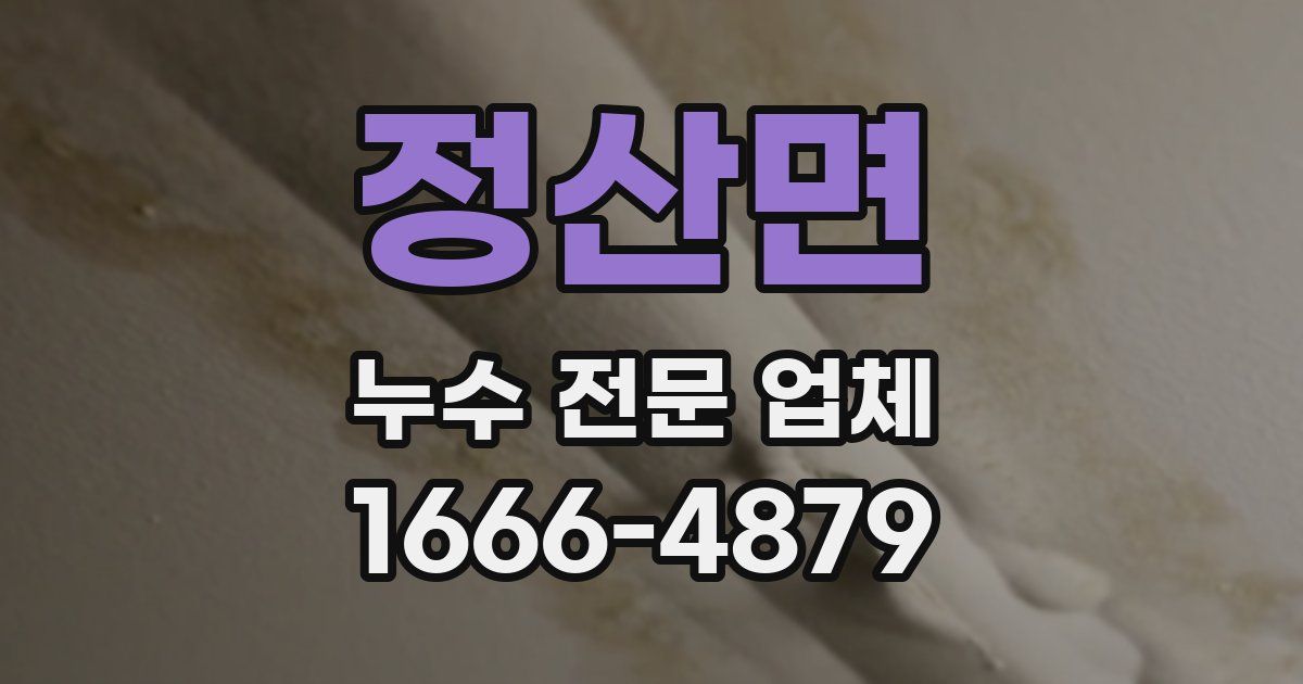 정산면 누수 전문 업체