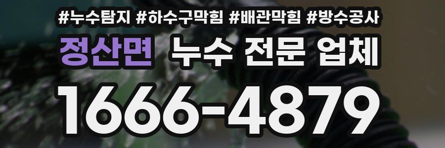 정산면 누수 전문 업체