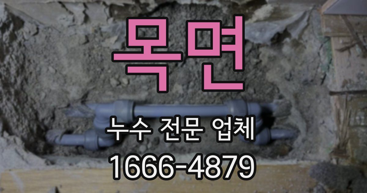 목면 누수 전문 업체