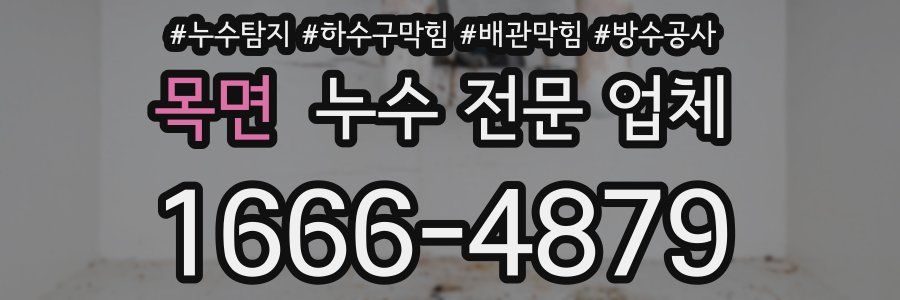 목면 누수 전문 업체