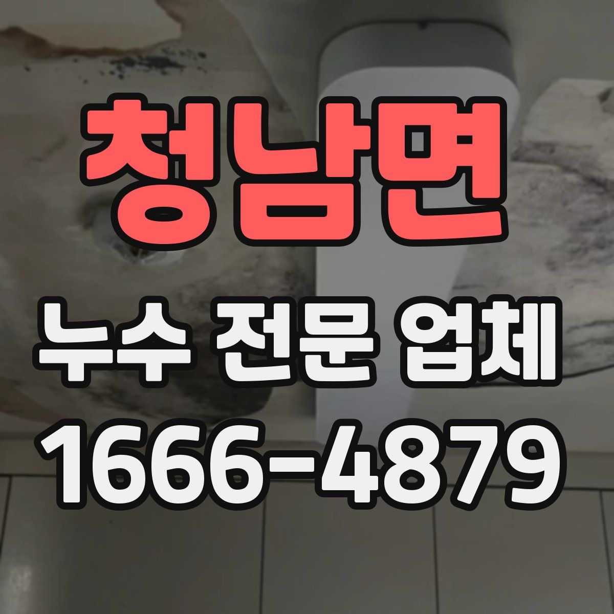 청남면 누수 전문 업체